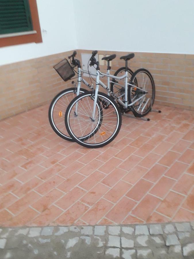 Alojamento Local Patudos, Suite Com Terraco Privado Тавира Екстериор снимка