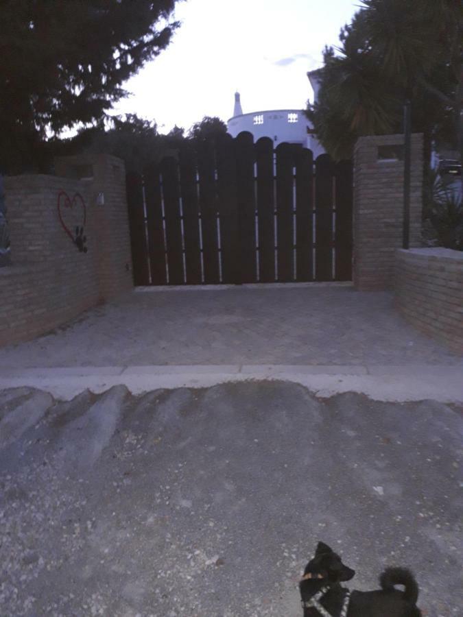 Alojamento Local Patudos, Suite Com Terraco Privado Тавира Екстериор снимка